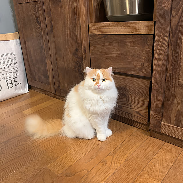 keiさんの実例写真