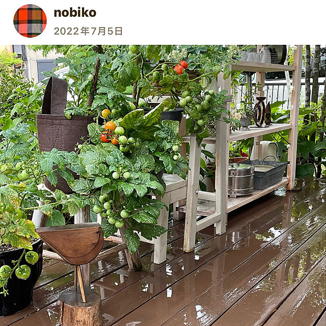 nobikoさんの部屋