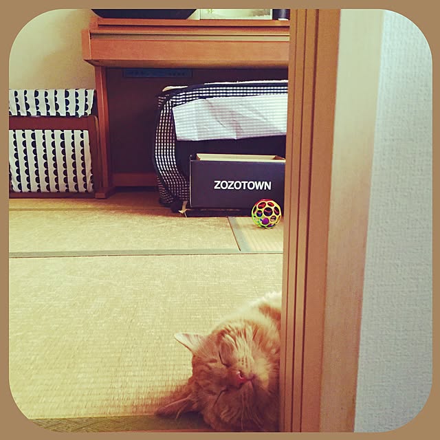 Ryokoさんの実例写真