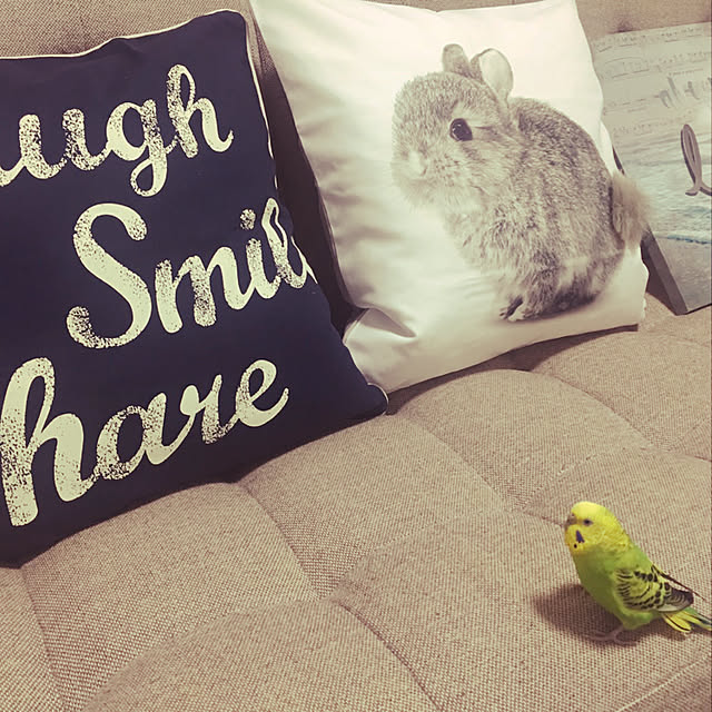 mrkさんの実例写真