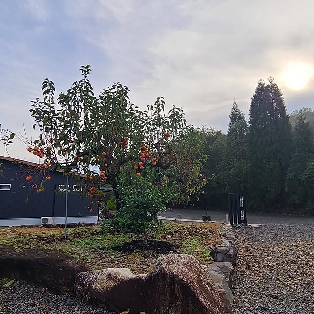 Rubiconさんの部屋