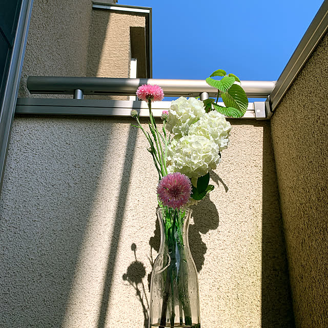 eshinobumさんの実例写真