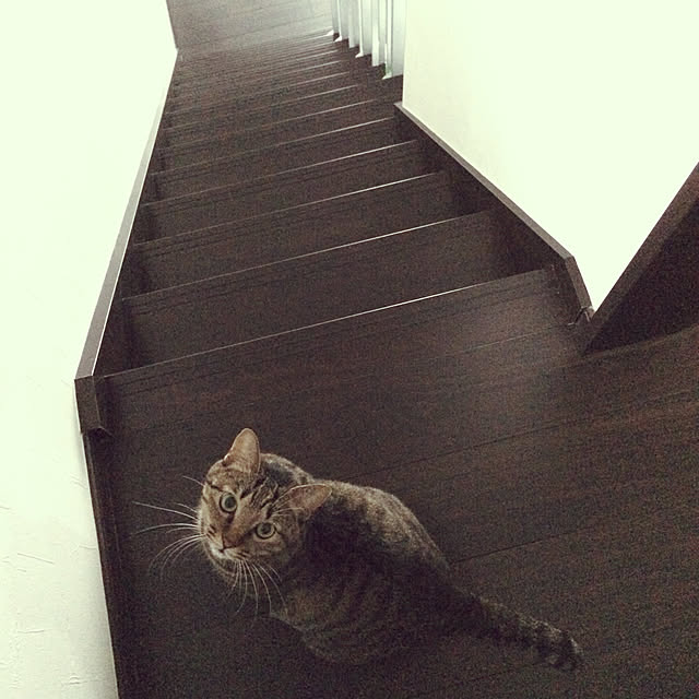 kuriさんの実例写真