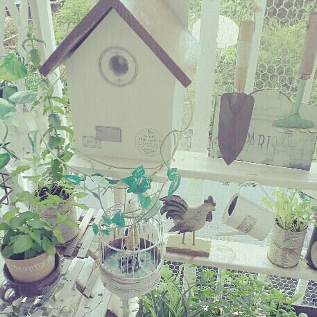 cocoaさんの実例写真