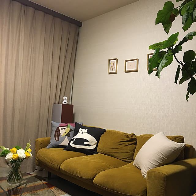 実例写真