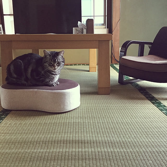 richanさんの実例写真