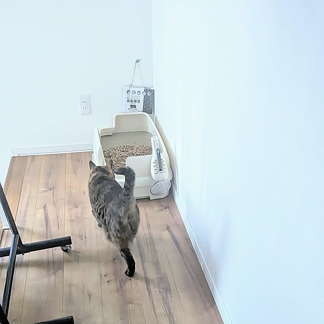 mamimamipockyさんの部屋