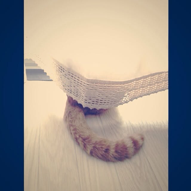 n-sanさんの実例写真