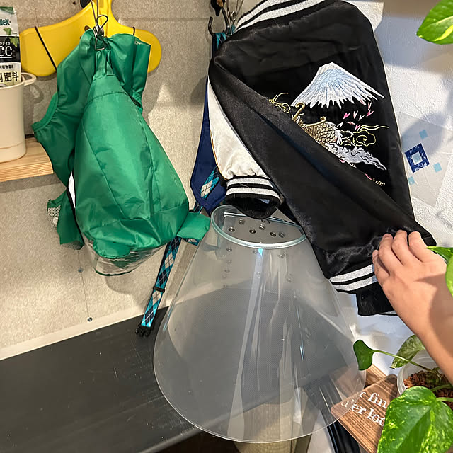 tanboさんの部屋