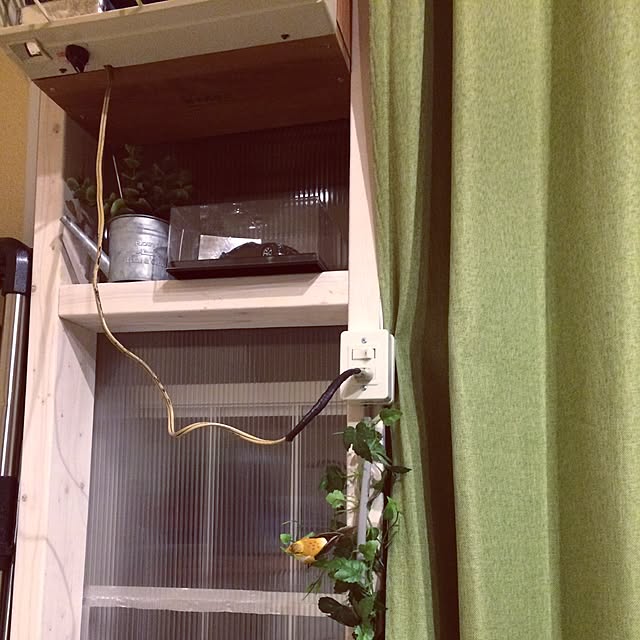 h81ekさんの実例写真