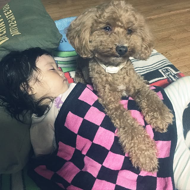 sei.kan.hide.chiyoさんの実例写真