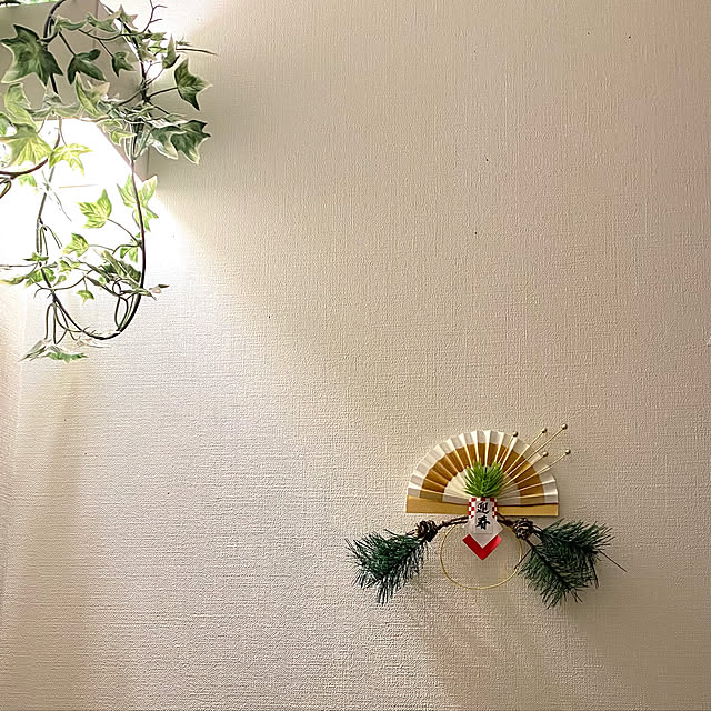 Shinakoさんの実例写真