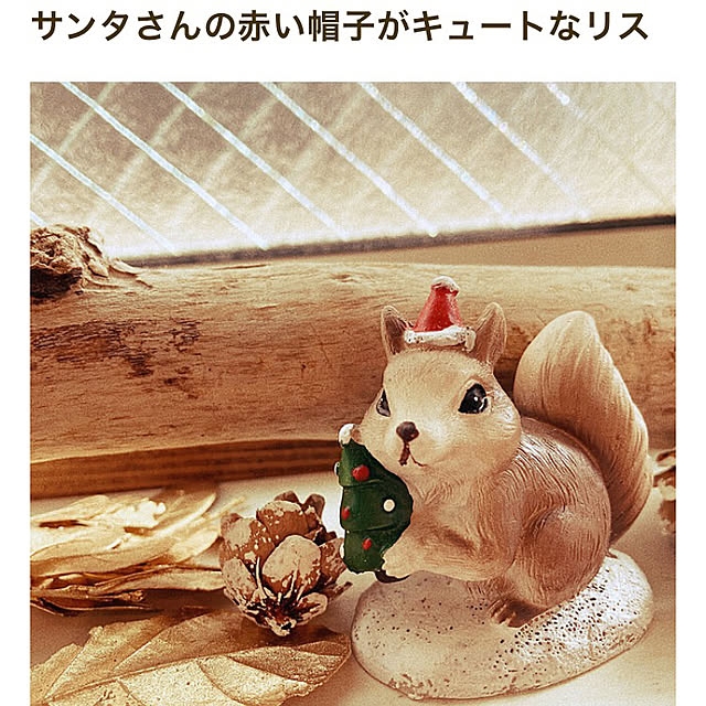 okkunさんの実例写真