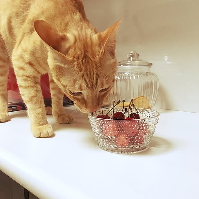 mtkさんの実例写真