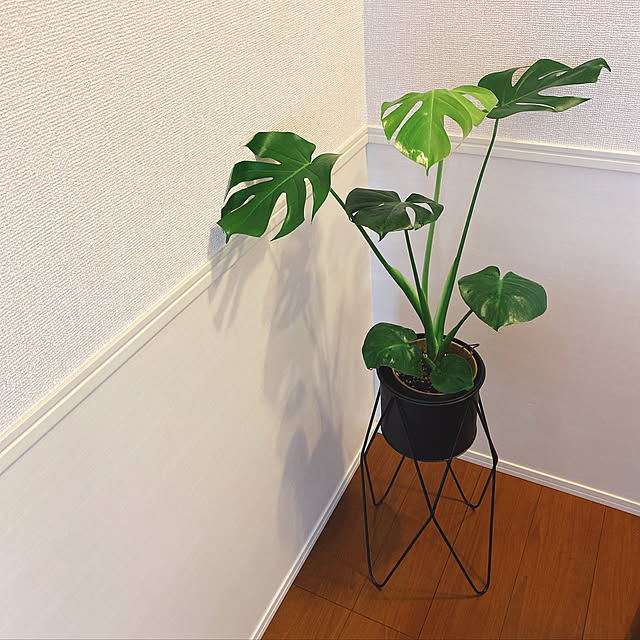 py26さんの実例写真
