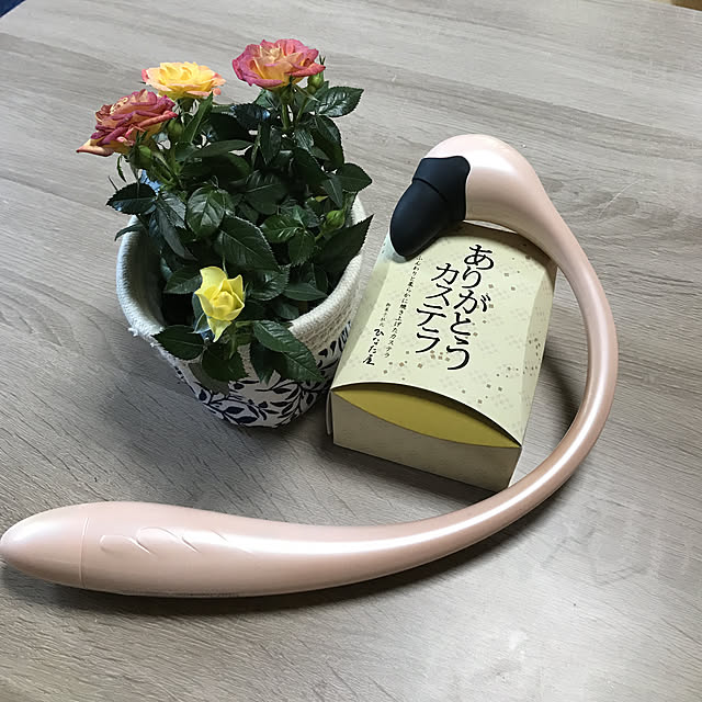 momoさんの実例写真