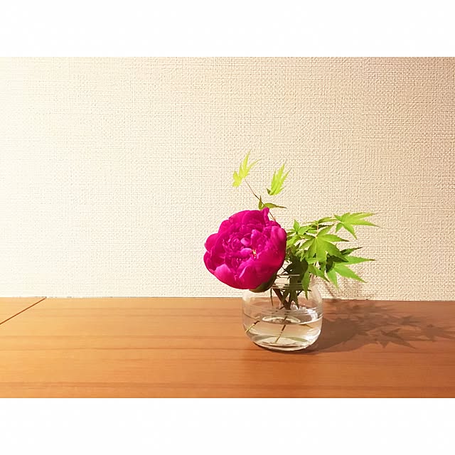 yamaco_chanさんの実例写真