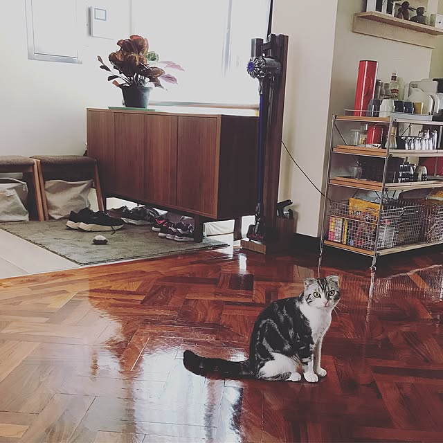 Jamesさんの実例写真