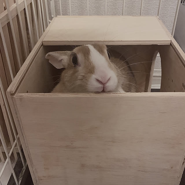 mさんの実例写真