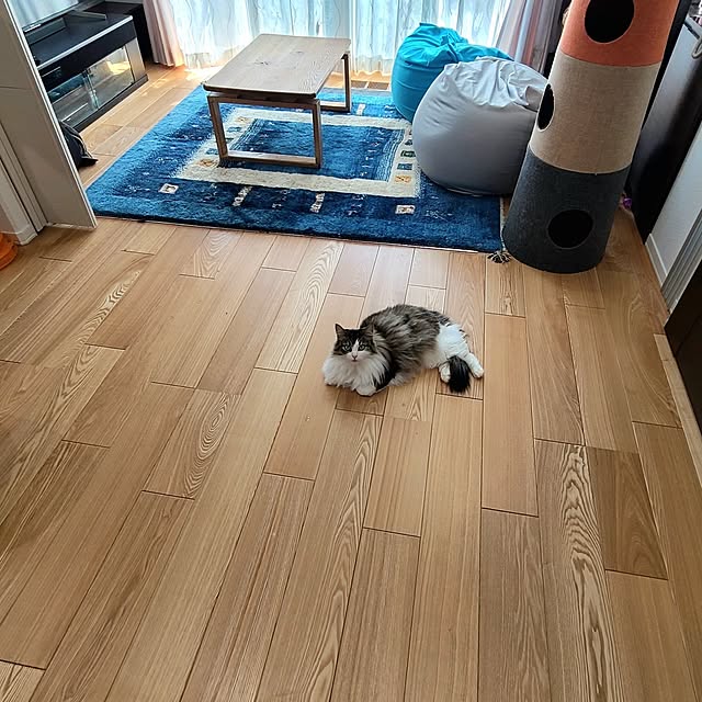 akiko6193さんの実例写真