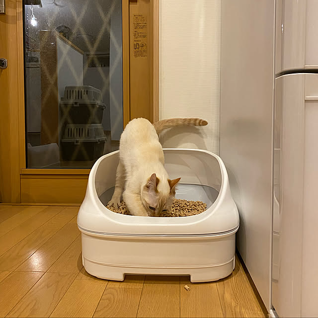 Mentanさんの実例写真