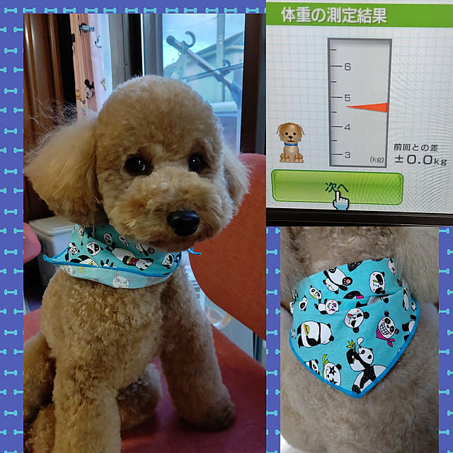 yumirinさんの実例写真