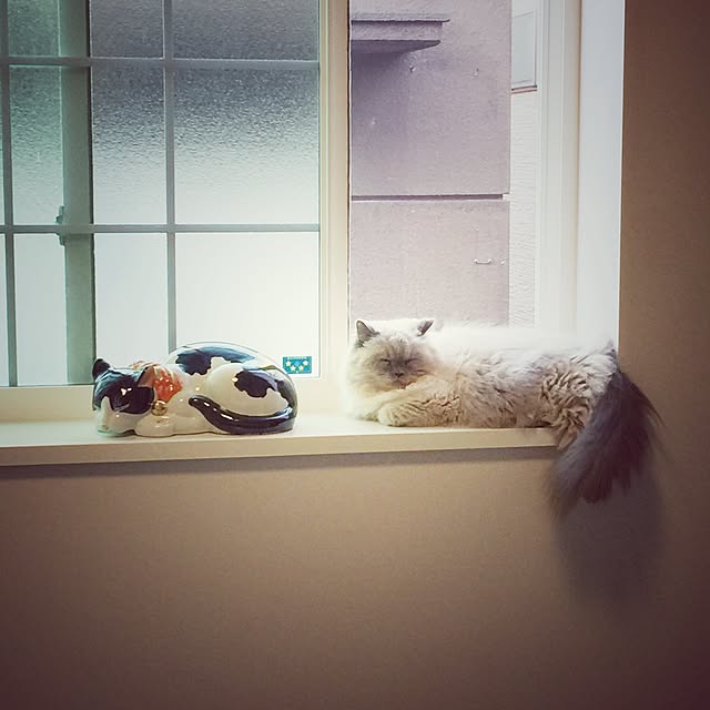 yuchiさんの実例写真