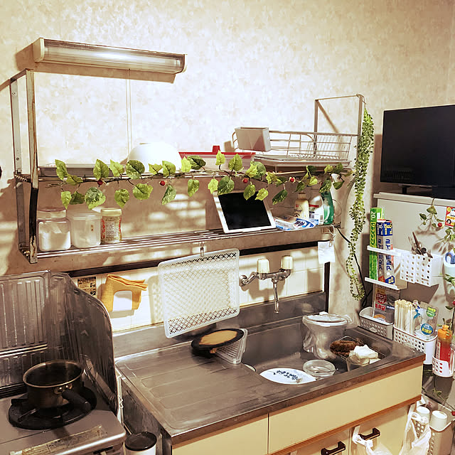 gomollaさんの実例写真