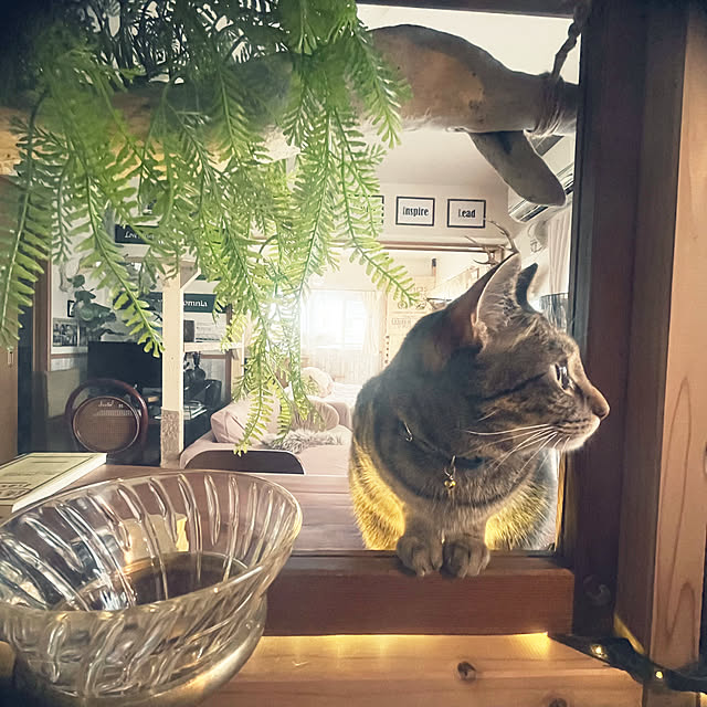 Mさんの部屋