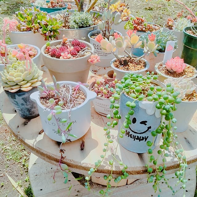 mihomataさんの実例写真