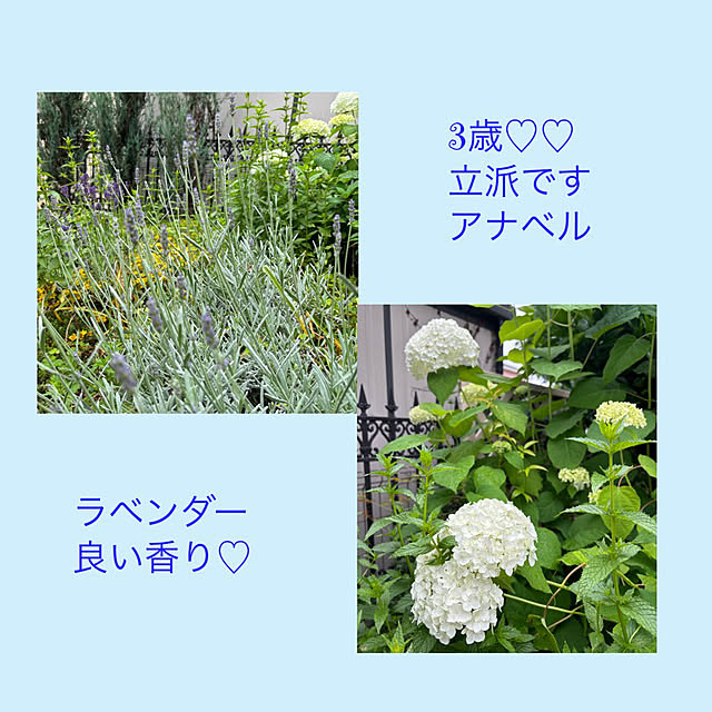 momocchiさんの部屋