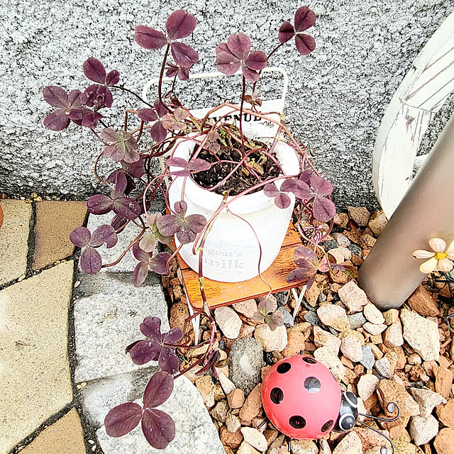 kawaiiouchi-labo.akiさんの実例写真