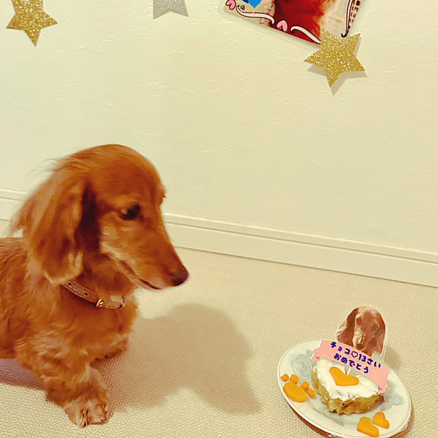 Maiさんの部屋