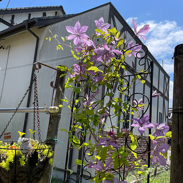 wakoさんの実例写真