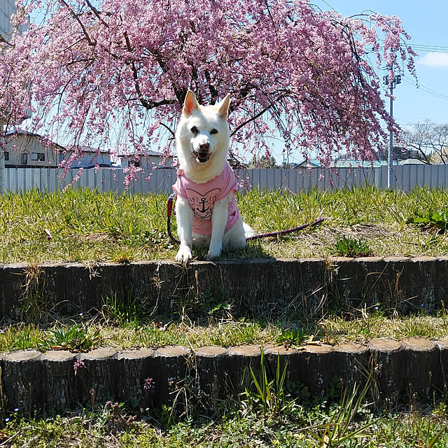 non.nonさんの実例写真