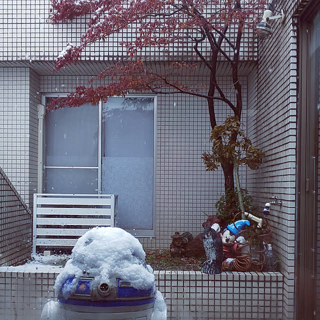 kumimmyさんの実例写真