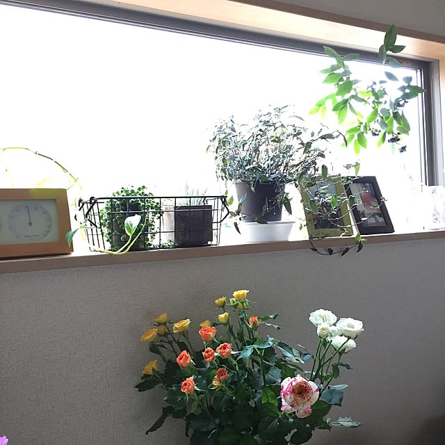 a_yumiさんの実例写真