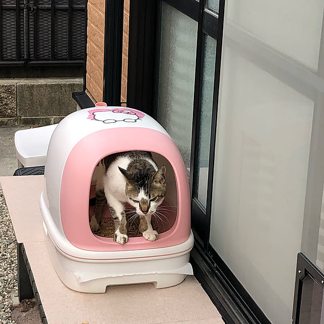 haruminさんの実例写真