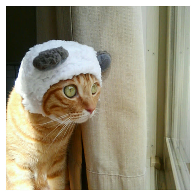 mayutan.さんの実例写真
