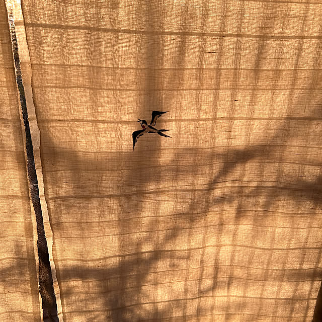 akaidarumaさんの部屋