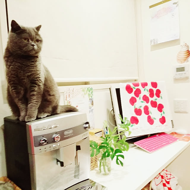 poteoさんの実例写真