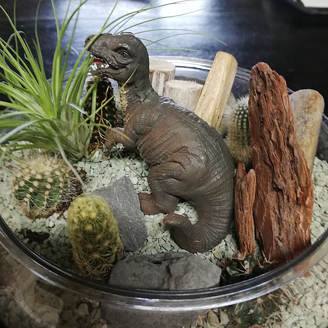 shusen.miyaさんの実例写真