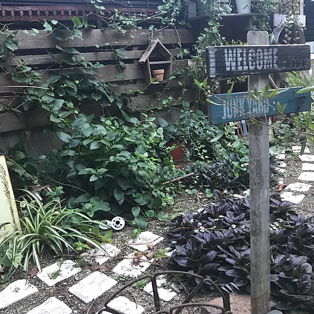bibianさんの実例写真
