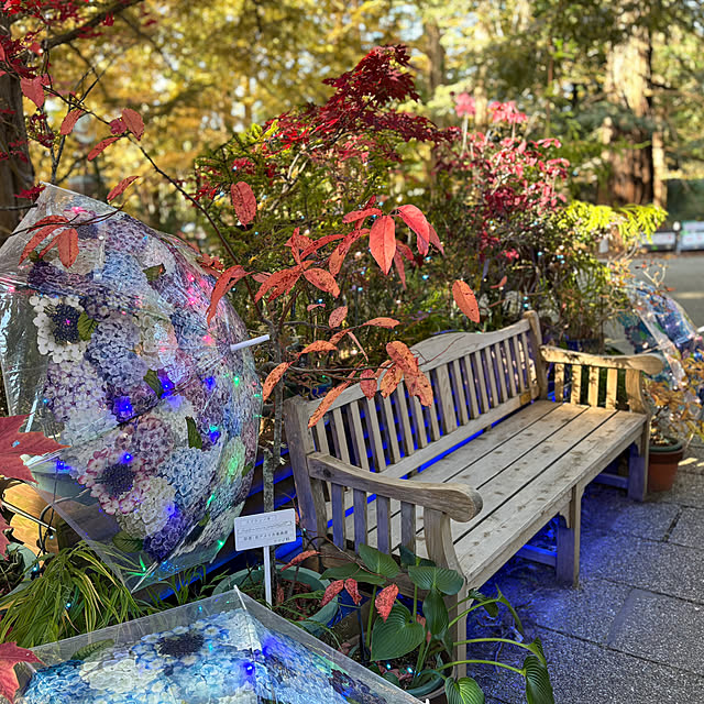 tututu0204さんの部屋