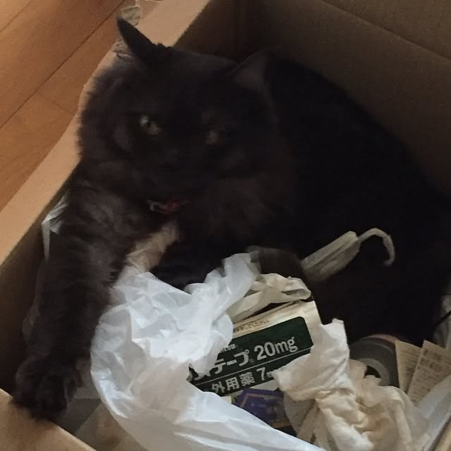 maria.rさんの実例写真