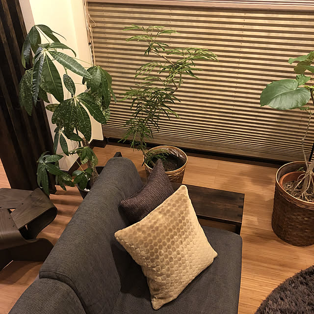 fenrilさんの実例写真