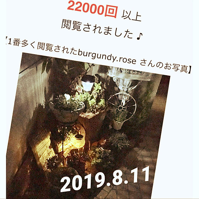 burgundy.roseさんの実例写真