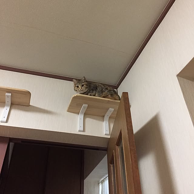 keibooさんの実例写真