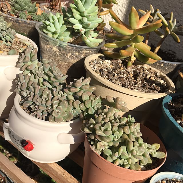CHIROさんの実例写真