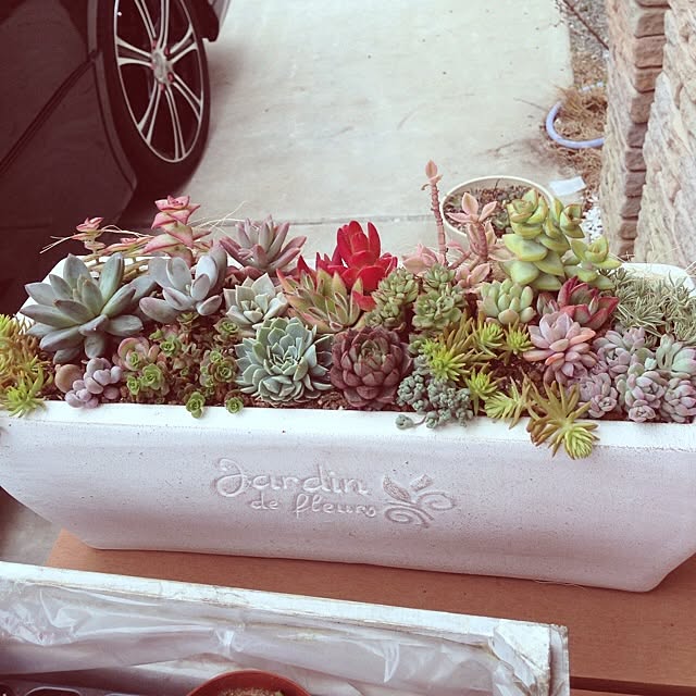 achuさんの実例写真